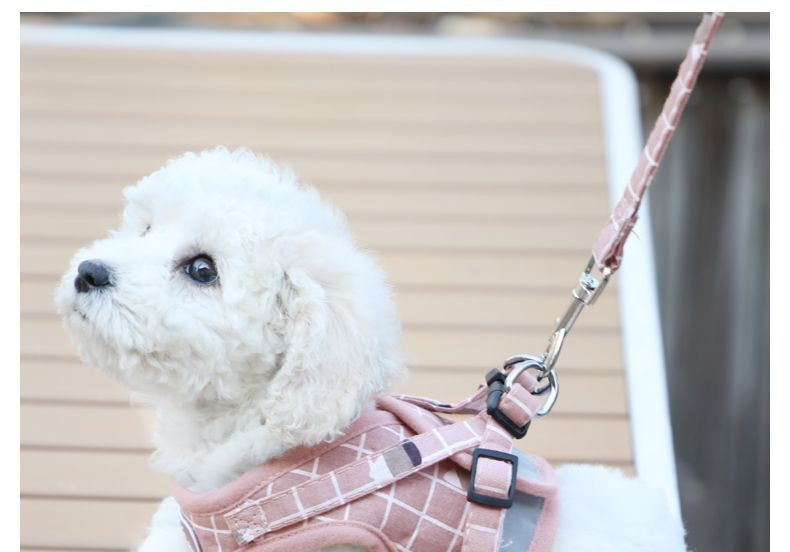 背心式犬牽引紐テディ比熊小型犬胸背ドッグラン子犬チェーンペット用品