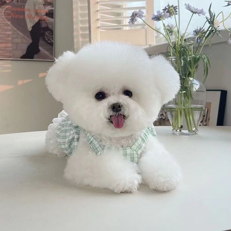 春夏新作 薄手のチョッキ ペット 蝶結び ペットの服 ペット用品 犬猫 服 洋服