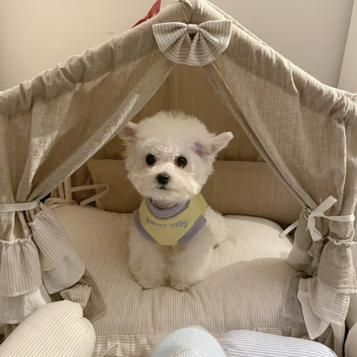 春夏新作 犬服 ペット服 犬 洋服 ペット 犬用品 小中型犬 春秋ペット犬服春秋小型犬子犬抜け毛防止肥厚