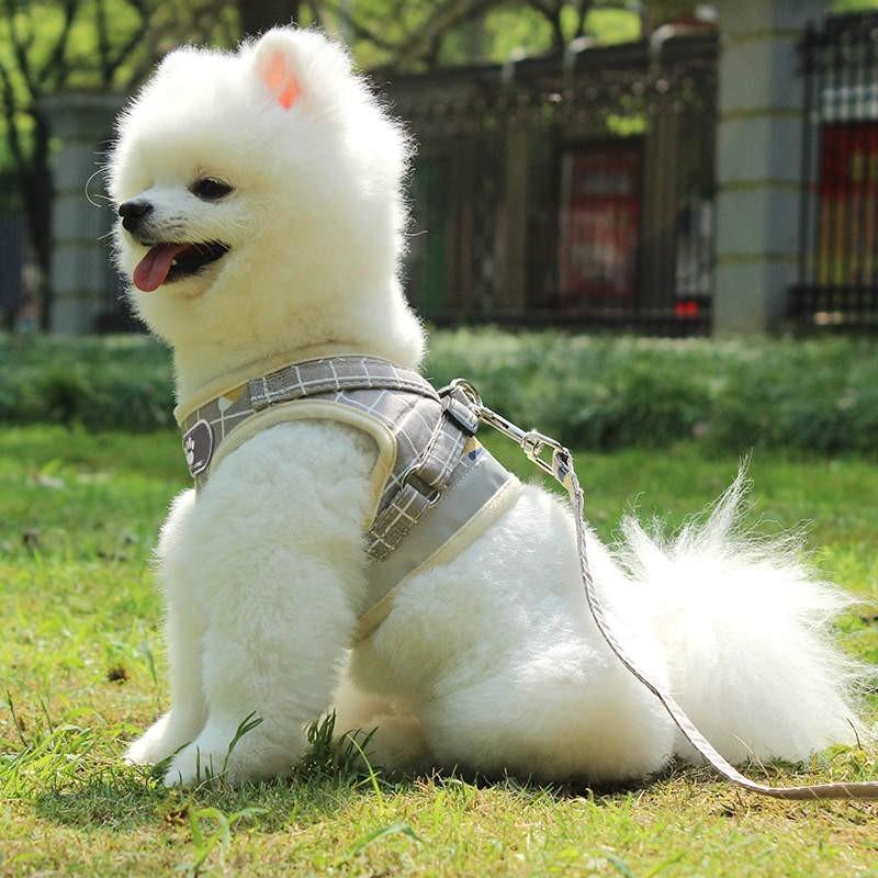 おしゃれな犬服付きセット 犬用ハーネスリード 送料無料 脱げない服 中型犬小型犬 ハーネス犬ベルトチェック