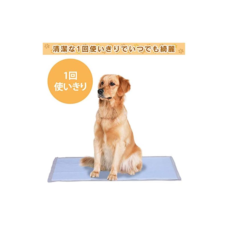 【即納】アイリスオーヤマ ペットシーツ 薄型 1回使い捨て 抗菌 消臭 中型犬大型犬 ダブルワイド 200枚入 (ケース販売)