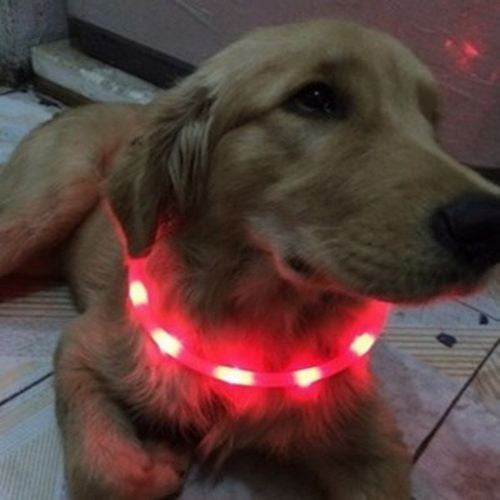 小型犬 プレゼントラッピング無料 犬 中型犬 シリコン 大型犬 防水 猫 LED 夜の散歩 首輪 取り外し可能 光る