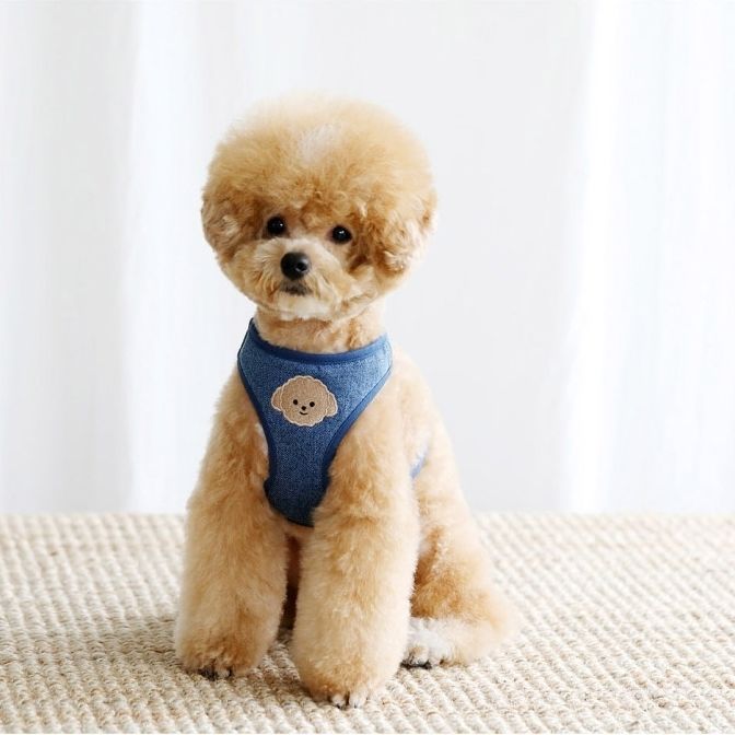 韓国版の中で小型の犬のテディは熊のコーキに比べて外出して犬を散歩します メガ割ワンピースパンツトートバッグ