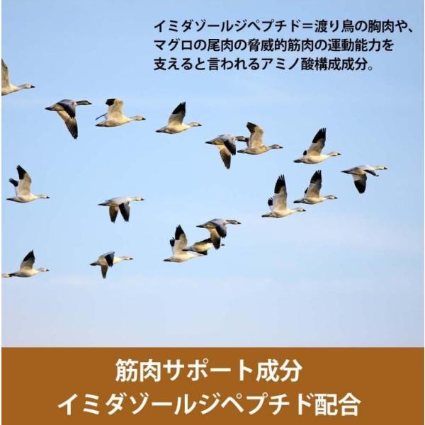 DOG s VOICE ドッグヴォイス オールステージ 75 全年齢用 プレミアムドッグフード 400g セミモイスト ローストチキン&鹿肉&サーモン