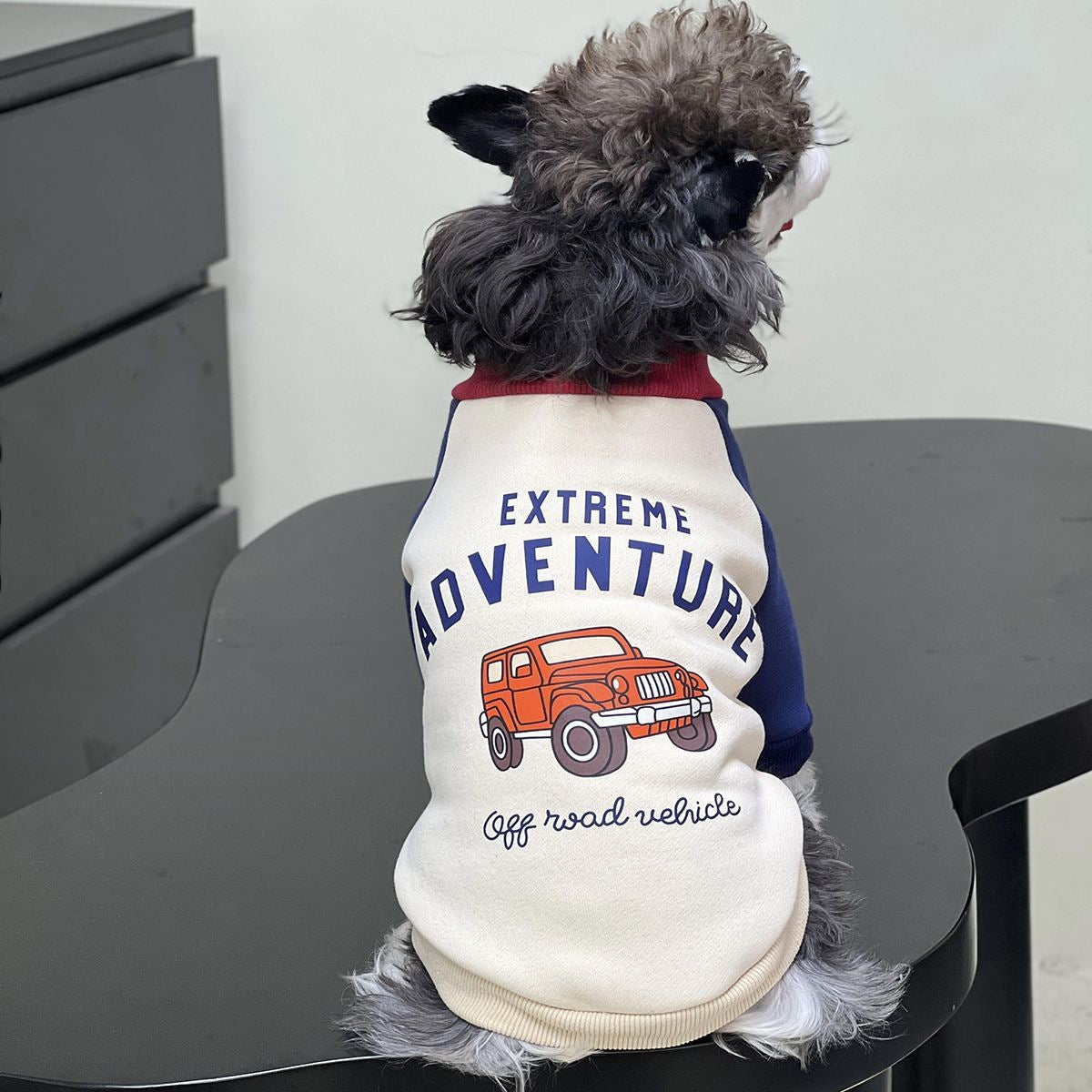 ペット 猫 犬の服 秋と冬 シュナウザーの服 パッチワーク タイド スウェット テディ ビションフリーゼ 犬 服 犬の服 犬 洋服 犬の服夏 犬洋服