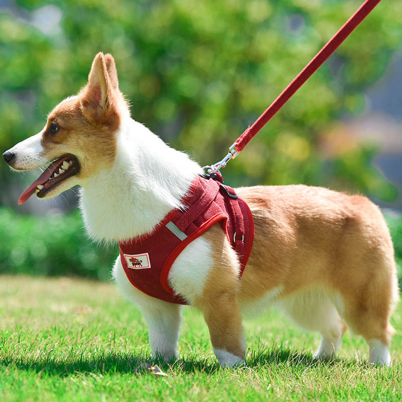 犬 小型犬中型犬 おしゃれな 苦しくない 高級秋冬物 4カラー 脱げない ハーネスリード