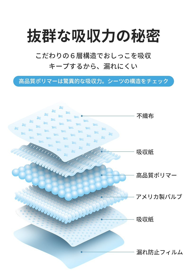 <a href="https://www.qoo10.jp/gmkt.inc/Search/brand.aspx?brandno=109151" target="_blank" class="title_brand" id="btn_brand" title="Honeycare">Honeycare</a>ペットシーツ 薄型 ペットシート 犬猫 サイズ選択可 レギュラー800枚 ワイド400枚 スーパーワイド200枚
