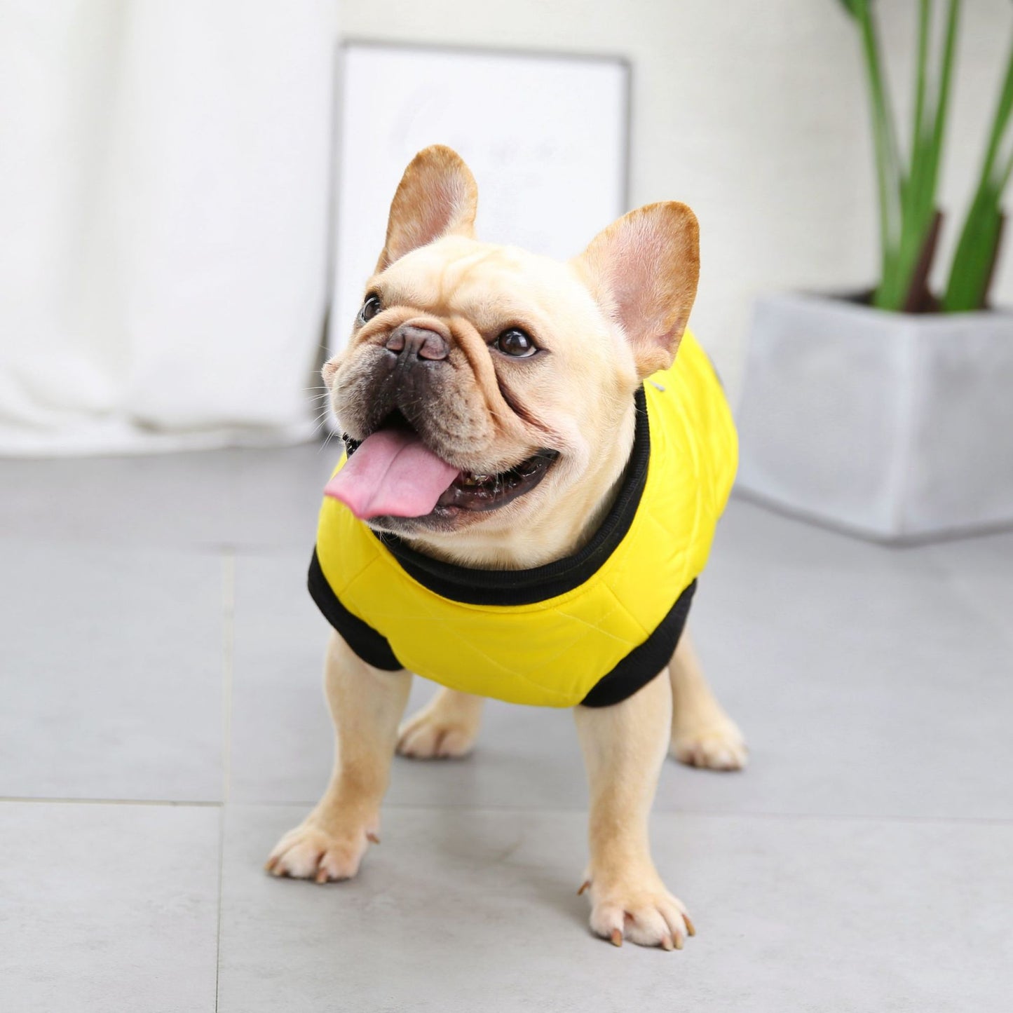 猫 犬 洋服 犬服 ペット服 大中小型犬 ペット用品 犬/猫用 犬の服 ペットウエア 小型犬 中型犬 通気 可愛い ドッグウェア トレーナー 犬 服 ワンピース サロペット ビションフリーゼ 犬猫服