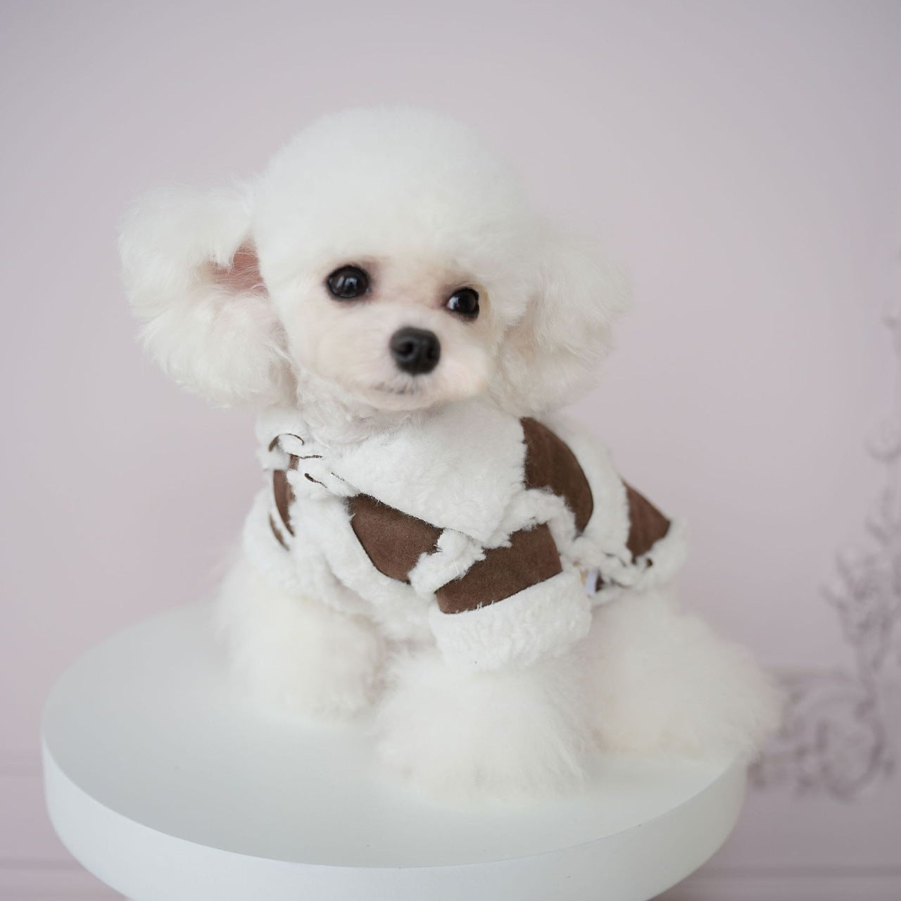 犬服新しいペットの服イミテーションスエードワンピースコットンコートソフト快適な冬のコートプードル二本足の服