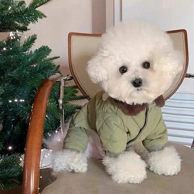 2025秋冬新作 ペット服 犬の服 犬猫服 テディビーベア ヨークシャー 小中型犬 服 快適 ペット用品 犬用品 散歩 防寒 秋冬服