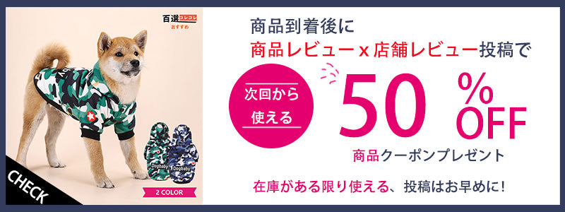 犬ハーネスリードセット 4カラー 抜けない メッシュ素材 着脱簡単 春夏用最適 2023新品 蒸れない 通気性抜群