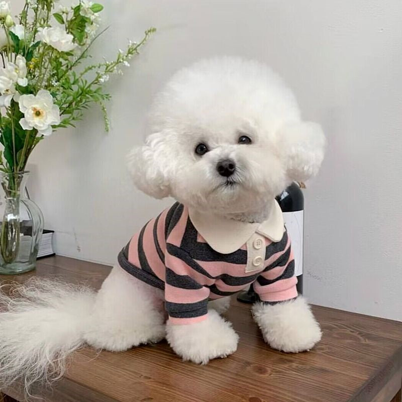 ペットの服 犬の服 猫の服 小型犬 猫 犬の服犬 服 犬 犬の服 犬 洋服 犬の服夏 犬洋服