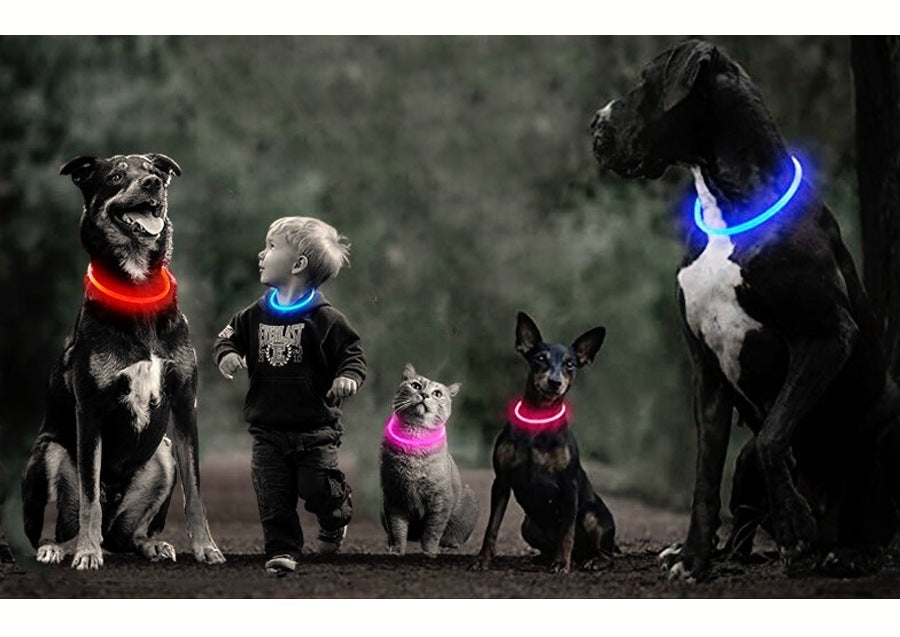 USB充電式の光る首輪 子犬 中型犬 お散歩にぴったり 発光 LED首輪