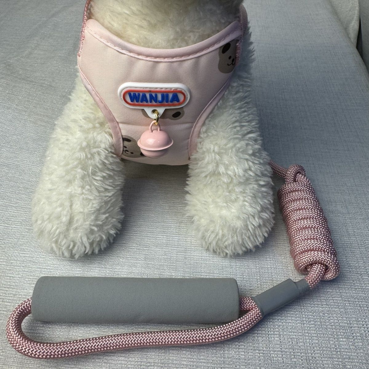 新型ベスト犬牽引ロープ犬チェーン快適通気防止中小型犬通用外出可愛い メガ割ワンピースパンツトートバッグ
