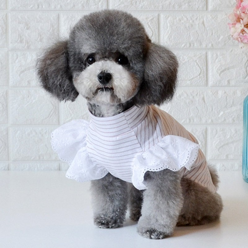 ペットウェア新作秋冬 ペット服 犬猫服 快適で可愛い ペット用品 ペットグッズ ペットウエア コスチューム ボーダー ハイネック フリル レース シンプルペットウェア