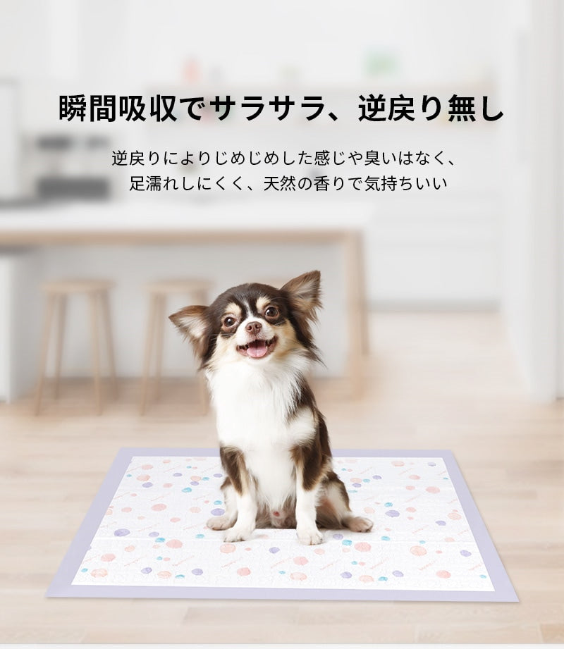 <a href="https://www.qoo10.jp/gmkt.inc/Search/brand.aspx?brandno=109151" target="_blank" class="title_brand" id="btn_brand" title="Honeycare">Honeycare</a>ペットシーツ 中厚型 ペットシート厚型 サイズ選択可 レギュラー ワイド スーパーワイド ラベンダーの香り付き 香りの選択