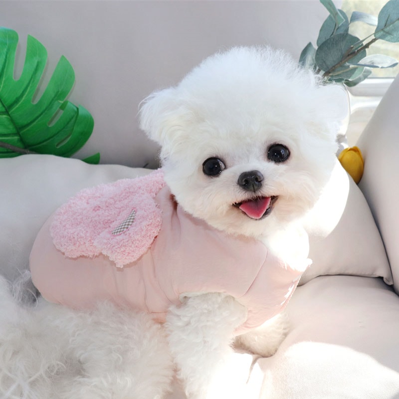犬服 春秋冬 可愛らしい 防寒着 テディ 厚手 冬用 牽引可能 子犬 服装 秋冬