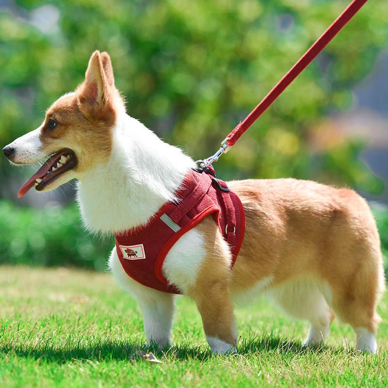 犬 小型犬中型犬 おしゃれな 苦しくない 高級秋冬物 4カラー 脱げない ハーネスリード