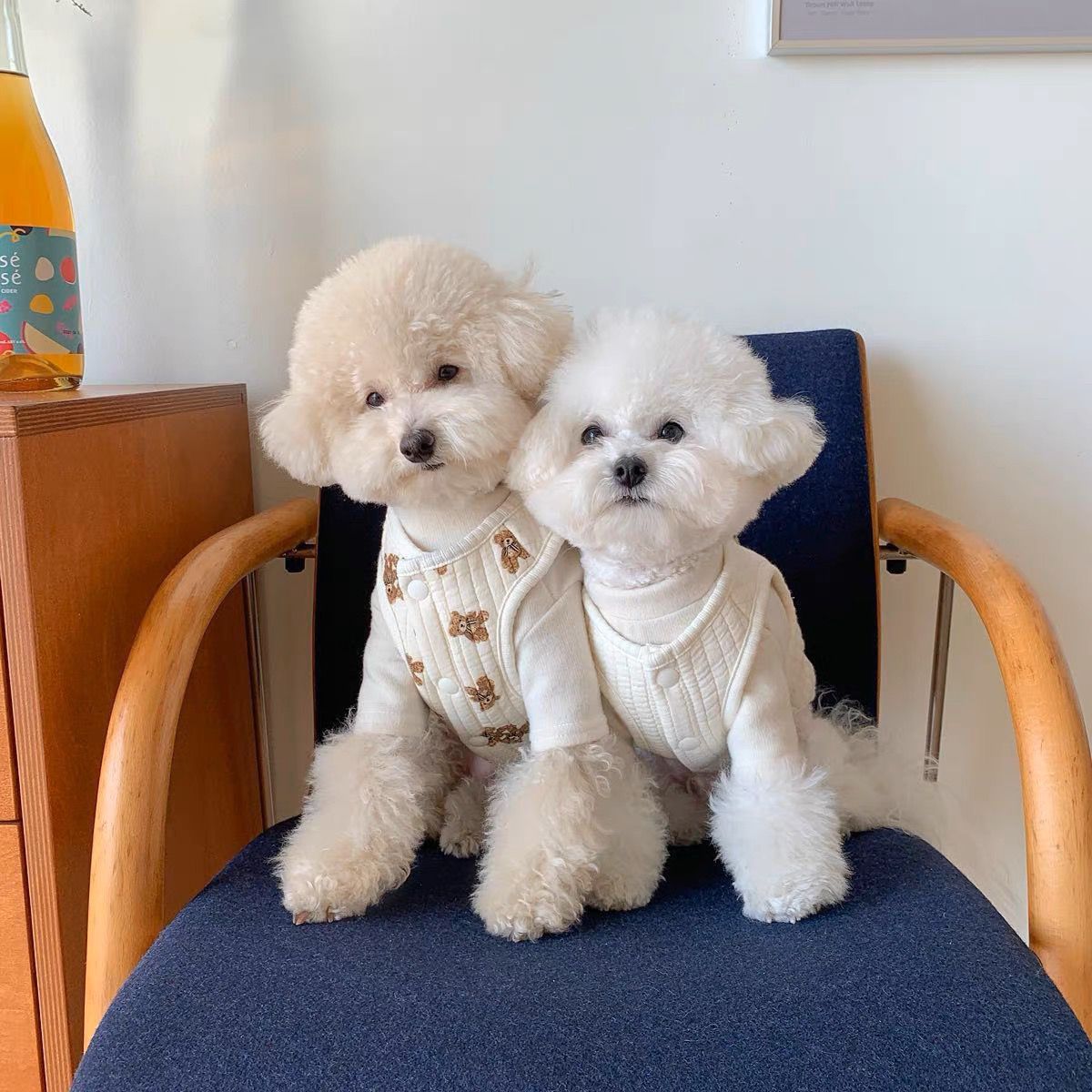 春と秋の犬服テディボーミペットのコキシナレビーベア秋服