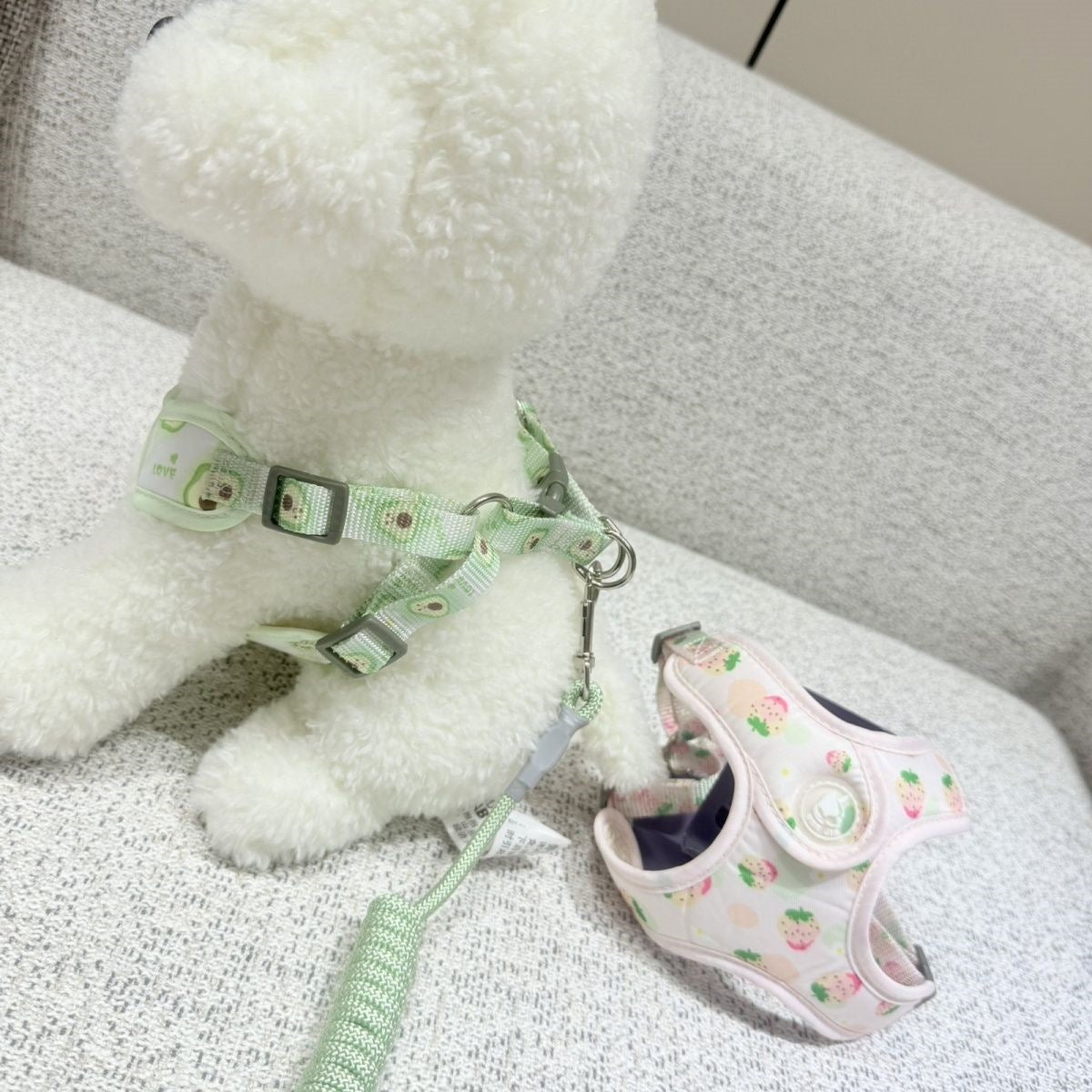 新型伸縮可能な通気性ペットの胸の牽引紐の小型犬は四季を通じて通用します