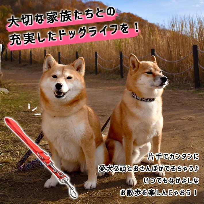 犬 2頭引き 延長リード全8色普段のリードに装着 54cm+54cm リード デュアルリード タイプ