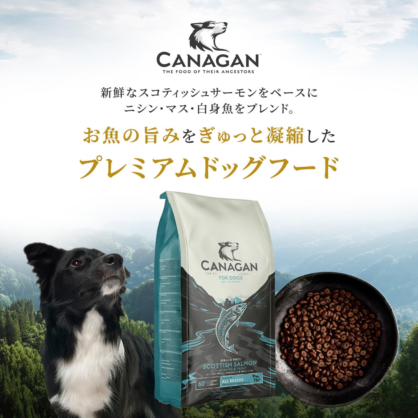 ドッグフード チキン (2kg) ドライフード 全犬種・全年齢 対応 【着色料・香料不使用 グレインフリー】