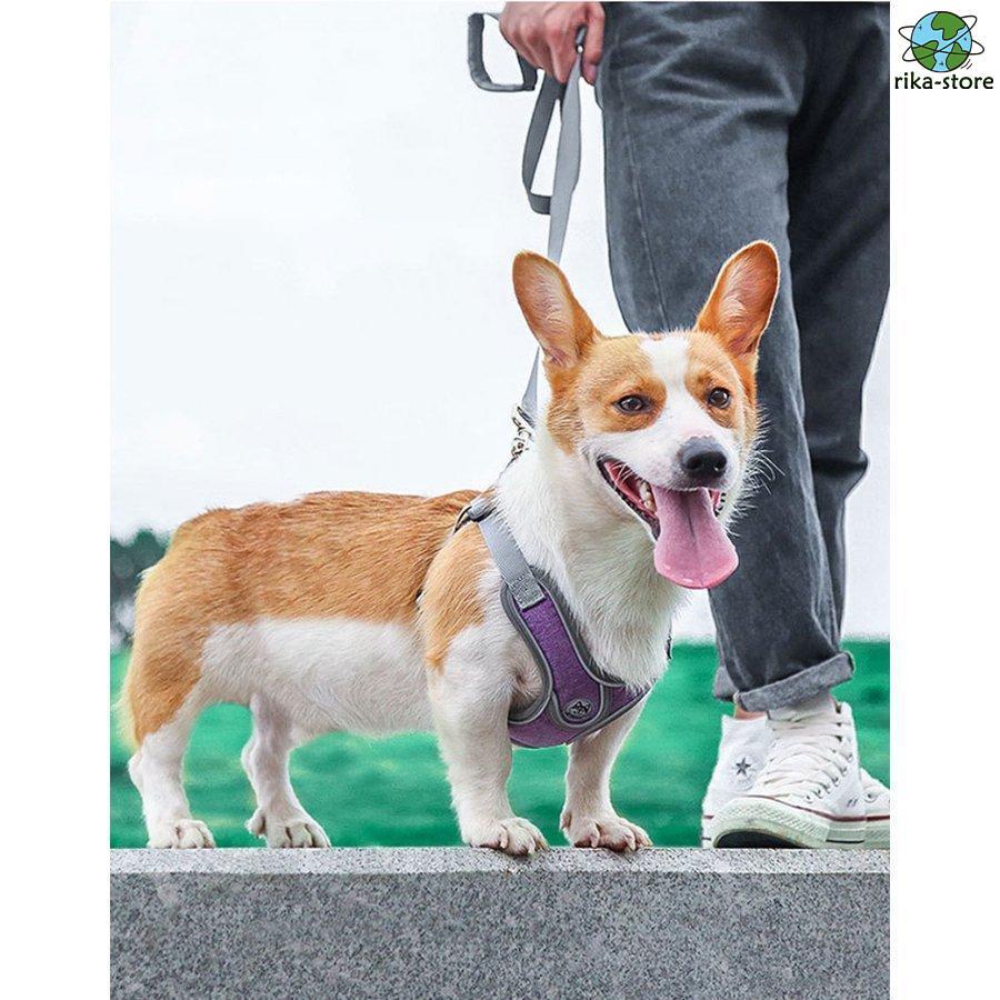 リード 大型犬 反射素材 中型犬 ハーネス リフレクター付き サイズ調整可 負担軽減 2点セット 衝撃緩和 通気性 丈夫 小型犬 かっこいい 頑丈 犬用