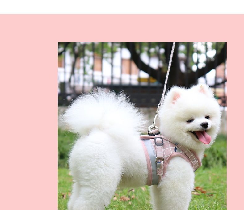 背心式犬牽引紐テディ比熊小型犬胸背ドッグラン子犬チェーンペット用品