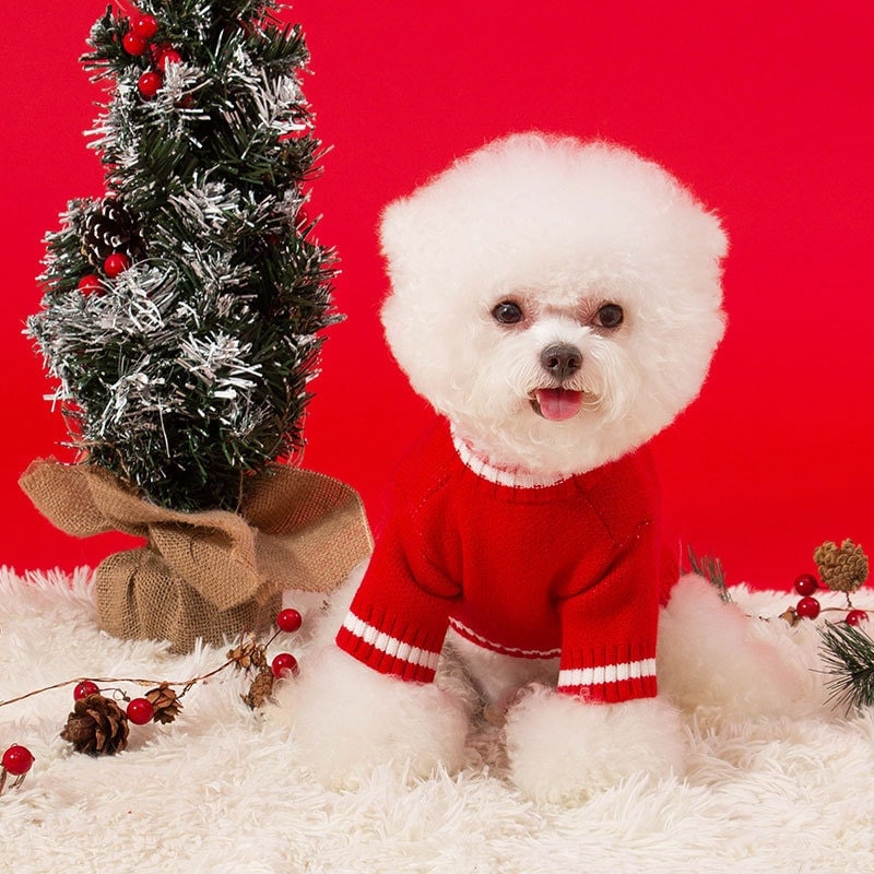 秋と冬犬エルククリスマスお祝いセーター小型および中型犬猫ペット服新年服 ペット服