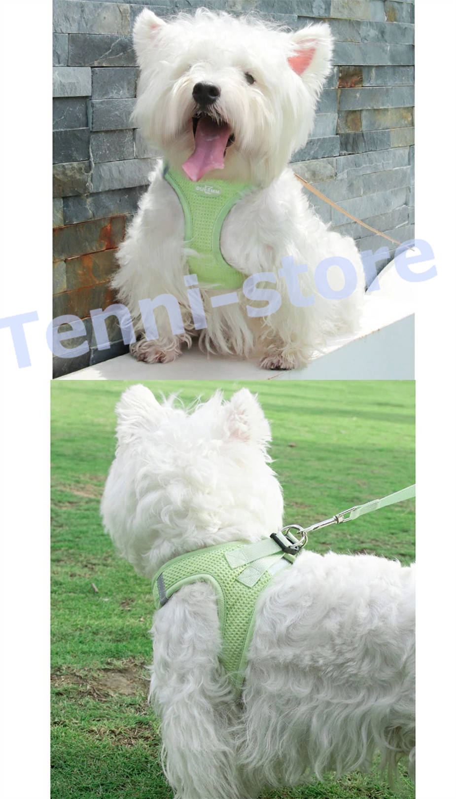 今週の新製品 タイムセール アウトレット 犬 猫 ハーネス 小型犬 中型犬 猫用 ネコ ウェアハーネス ハーネス&リードセット 犬ハーネス 抜けない 一体型 かわいい 簡単着脱 在庫が限られている在庫