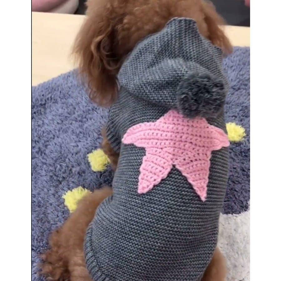 犬服 セーター パーカー 編み 犬のニット かわいい ドッグウェア ドッグクローズ トイプードル チワワ ポメラニアン 小型犬 メール便対応