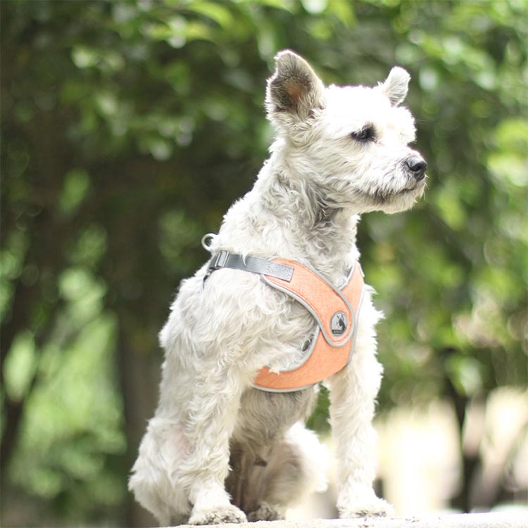 犬 ハーネス 負担軽減 胴輪 小型犬 中型犬 老犬 リード付き 犬具 リードセット 散歩 お出かけ