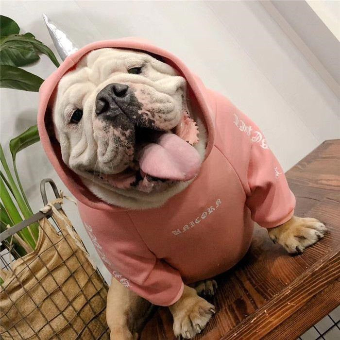 犬 服 デビル ハロウィン コスプレ フレブル服 裏起毛パーカー フレンチブルドッグ ペットウェア