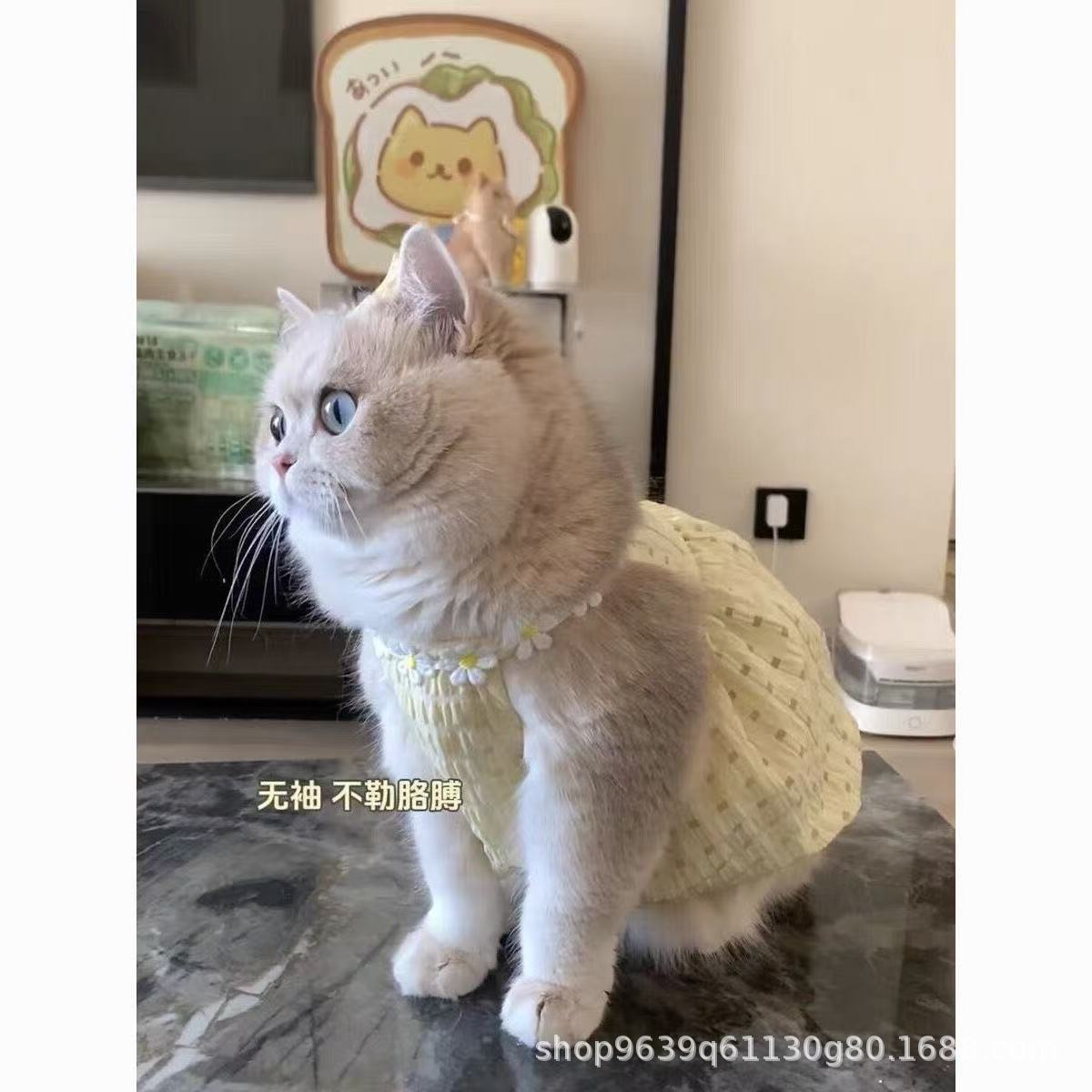 お得な商品 犬服 かわいい バルーン ドレス 犬洋服 猫服 猫 ワンピース 猫用 犬の服 犬用服 ペット服 キャミソール 犬 透け感 夏 春夏 犬服夏 着せやすい大好評