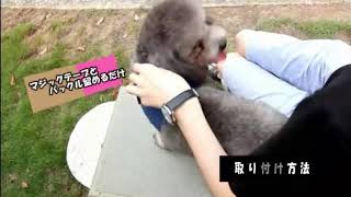 リード 可愛い アウトレット ハーネス お散歩 簡単 犬 デニム 痛くない 猫 胴輪 軽量 おしゃれ 通気性 ソフト 脱着
