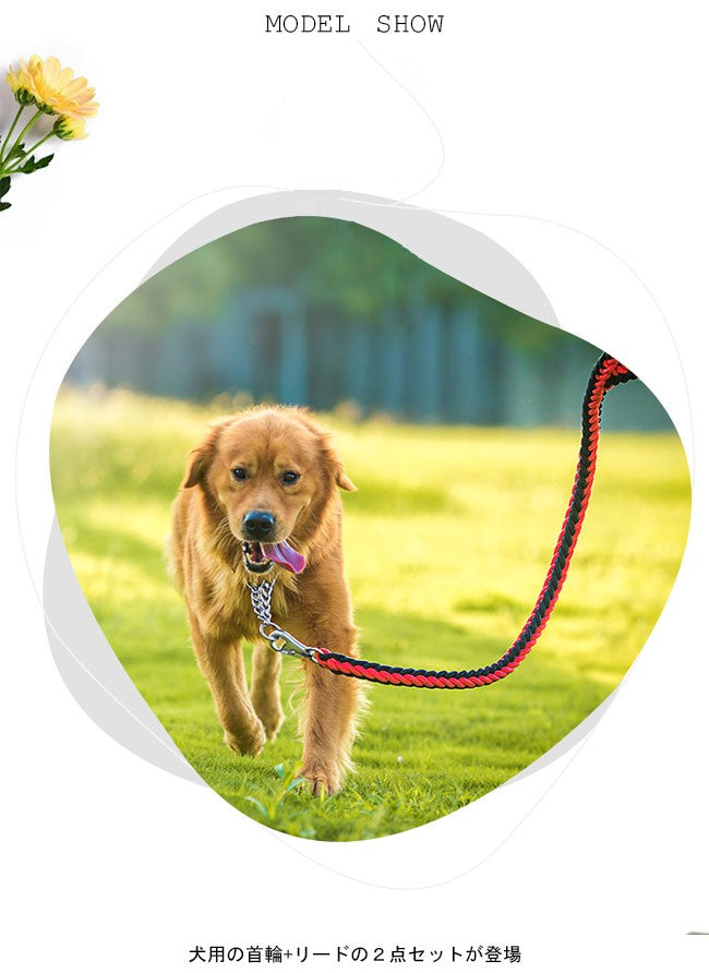 送 料 無 料!犬用 首輪 リード 2点セット 牽引ロープ ペット用品 大型犬 中型犬 牽引縄 セットアップ お洒落 ドッグウェア ハーネス 切り替え