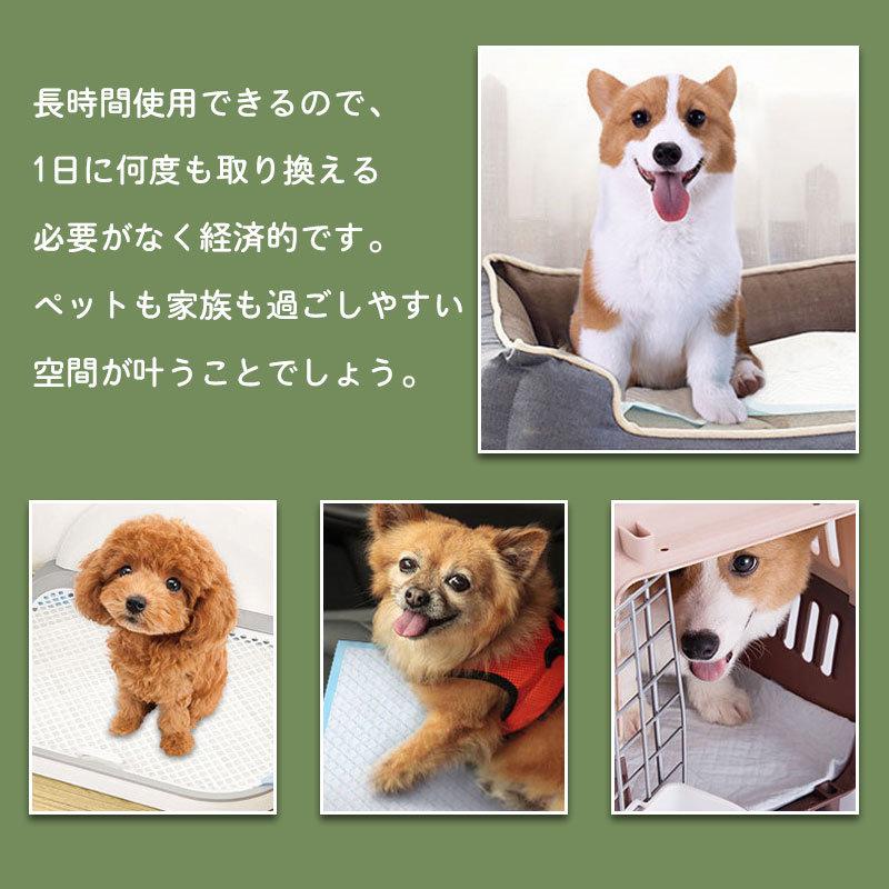 3日以内に出荷 明日まで値下げ ペットシーツ 薄型 ワイド スーパーワイド ペット用品 トイレシート 100枚 50枚 スピード吸収 ねこ うさぎ モルモット 使い捨て 期間限定オファー