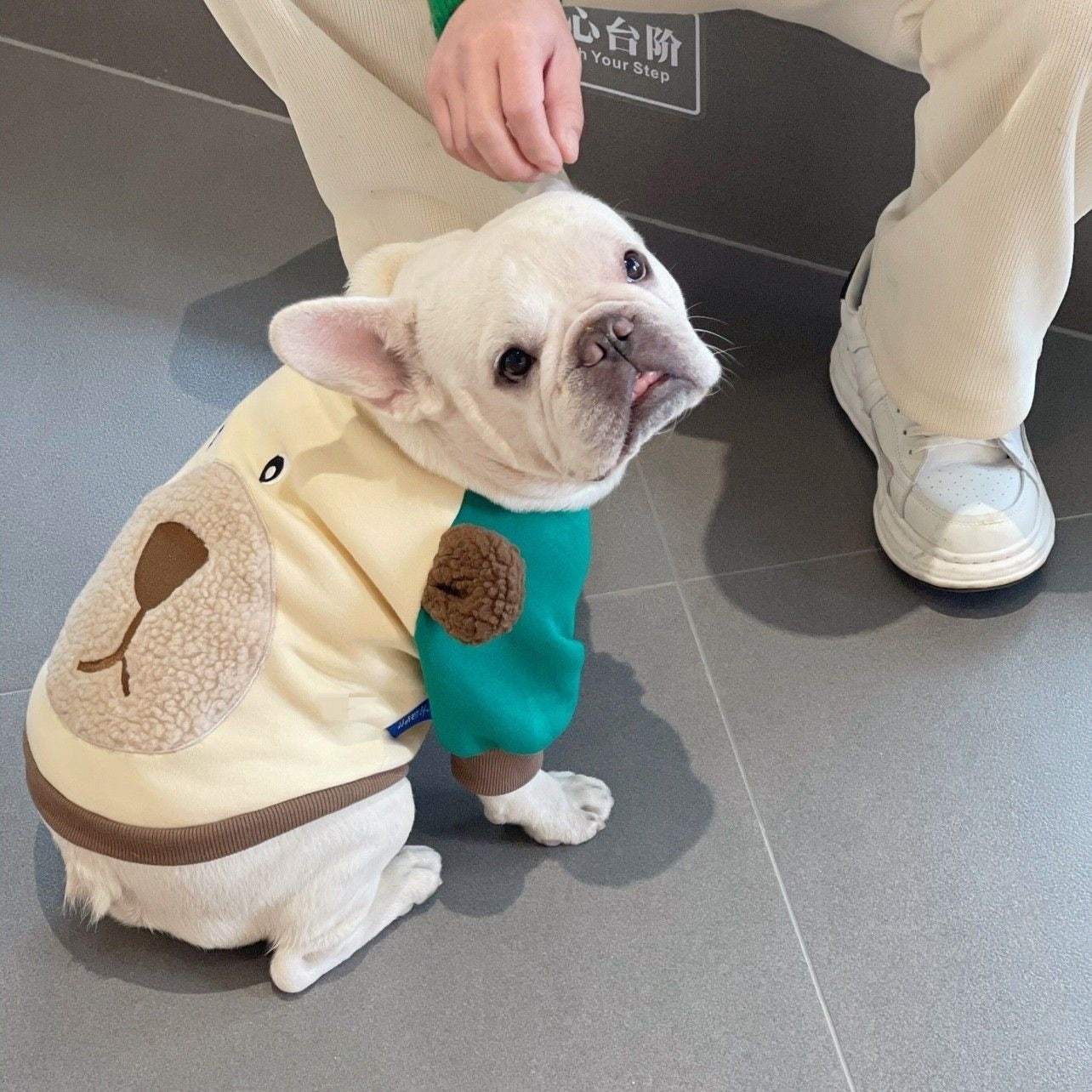 春と秋の犬服テディボーミペットのコキシナレビーベア秋服 厚手 裏起毛 可愛らしい 犬服