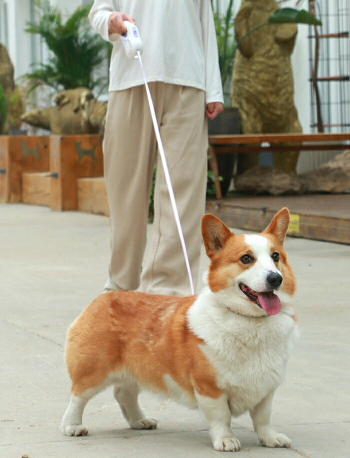 すぐに発送可能 ペットリード 夜間 3m 伸縮リード LED ライト 犬用リード 小型 中型 大型犬用リード 3つのモード 巻き取り式ドッグ 巻き取り式 散歩 夜間散歩 リールリード 新品