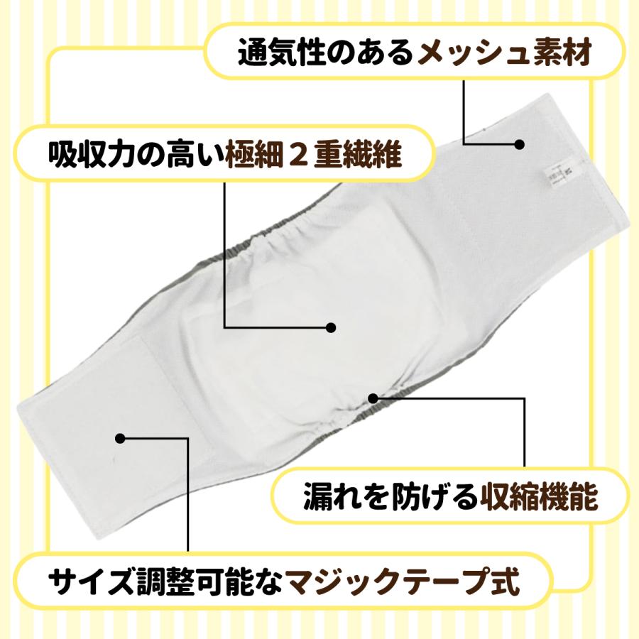 <a href="https://www.qoo10.jp/gmkt.inc/Search/brand.aspx?brandno=124379" target="_blank" class="title_brand" id="btn_brand" title="マナーウェア">マナーウェア</a>チワワ マナーパンツ 犬 オムツカバー オス 中型犬 犬用 おむつ マナーウェア マナーベルト XL ずれない マナーバンド 小型犬 M 犬用 L