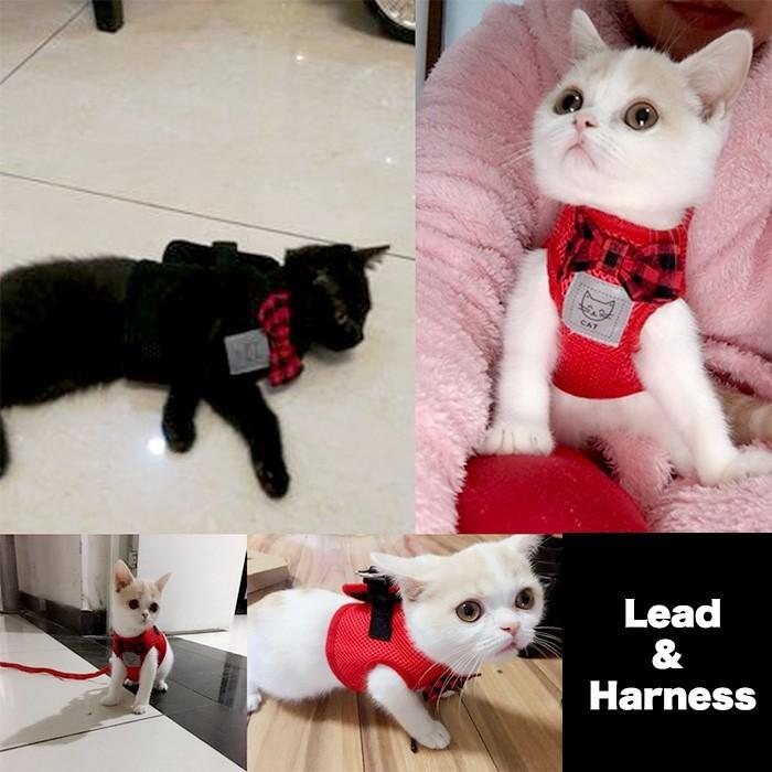 リボン リーシュ キャット ウェアハーネス 服 犬 ペット ドッグ リード メッシュ 胴輪 猫 ハーネス