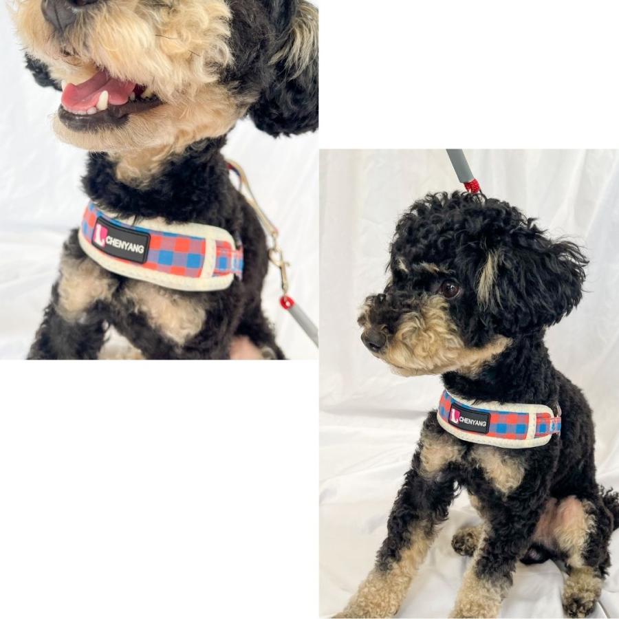 フレブル 胴輪 犬 小型犬 ハーネス チェック柄メッシュハーネスリードセット 中型犬 柴犬 犬用ハーネス おしゃれ 犬のハーネス ソフトハーネス