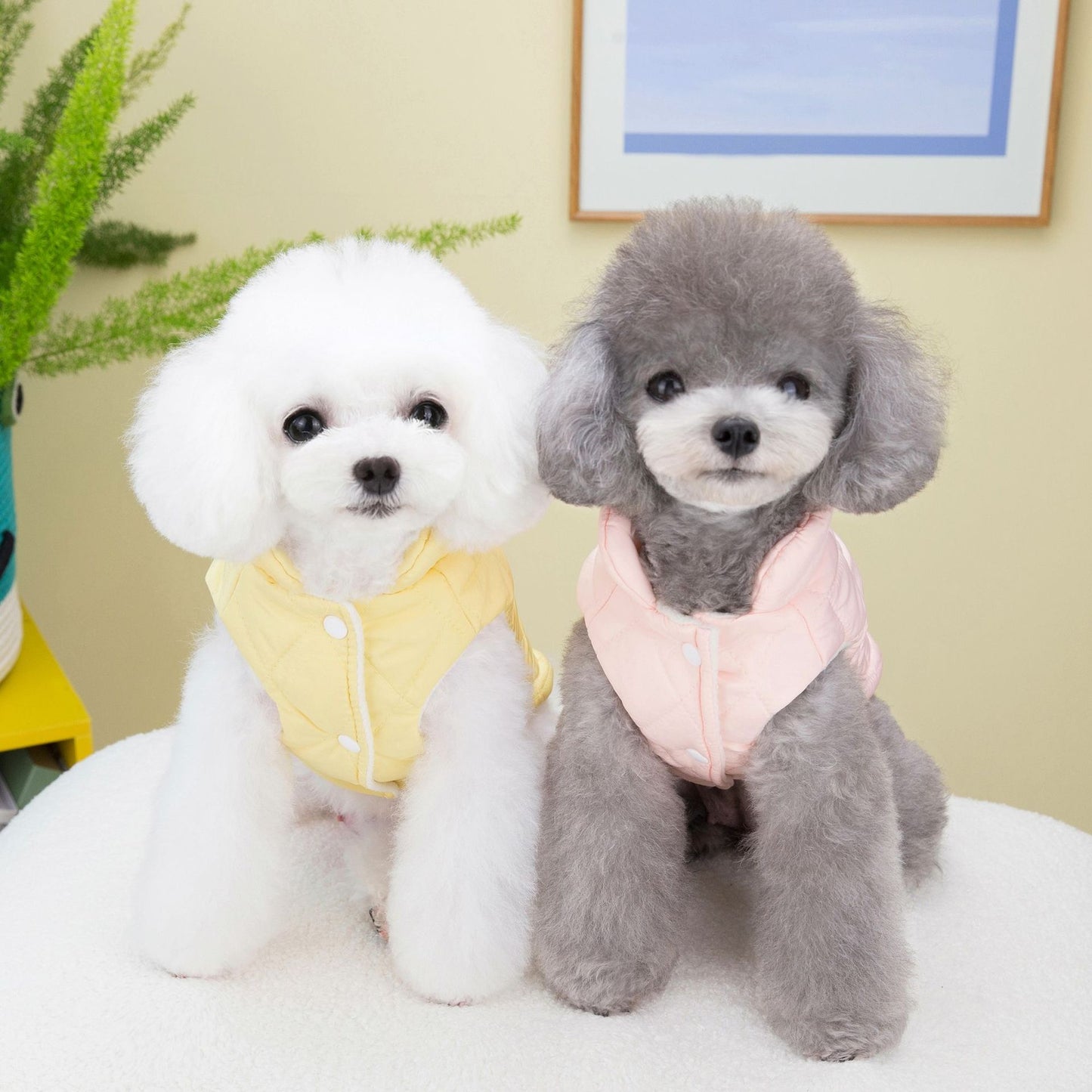 猫 犬 洋服 犬服 ペット服 大中小型犬 ペット用品 犬/猫用 犬の服 ペットウエア 小型犬 中型犬 通気 可愛い ドッグウェア トレーナー 犬 服 ワンピース サロペット ビションフリーゼ 犬猫服