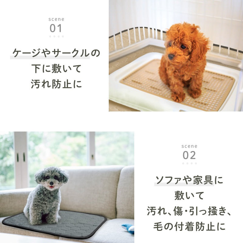 <a href="https://www.qoo10.jp/gmkt.inc/Search/brand.aspx?brandno=117010" target="_blank" class="title_brand" id="btn_brand" title="LASIEM">LASIEM</a>【発送3日以内】洗える ペットシーツ 2枚セット 犬 猫 犬用 ペットマット トイレシート おしっこシート 介護 ペットマット 食事マット 防水 おしっこパッド マット 滑り止め 介護シーツ 漏れ防止