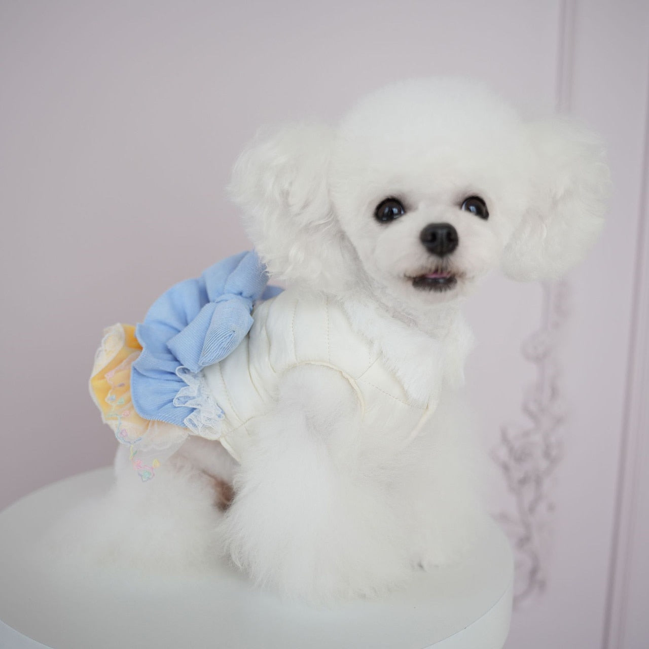 犬の服ペット犬冬服横縞多層レース綿スカート防水コート小・中型犬二本足コート
