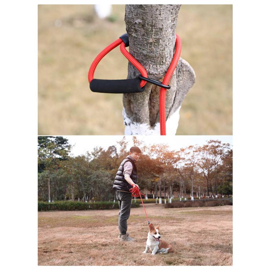 2件200円引きロングリード 犬 軽量 10m 牽引ロープ かわいい トレーニング 太さ8mm クライミングロープ 小型犬 中型犬 大型犬 おしゃれ 5m 犬用散歩リ