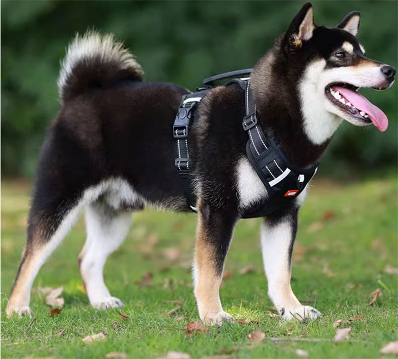 犬ハーネス 犬用 ハーネス 犬用胴輪 反射材料付き 装着簡単 喉にやさしい 小型犬 大型犬 散歩/訓練/お出掛 ペット はーねす 安全 抜けない 軽量 調節可能
