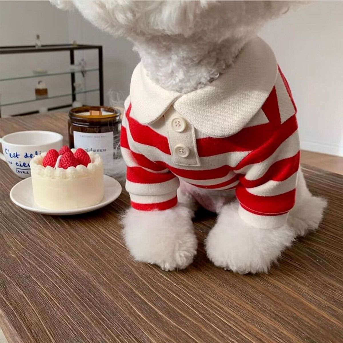 ペット服 ボーダーポロシャツ 小型犬の服 テディ ビションフリーゼ ポメラニアン 猫 小型犬&中型犬 犬 服 犬の服 犬 洋服 犬の服夏 犬洋服