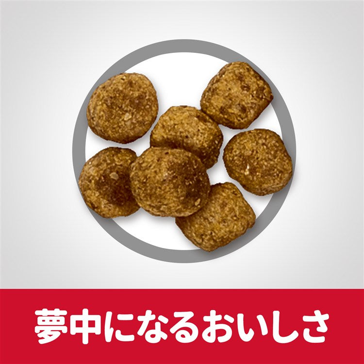 ドッグフード 犬 ヒルズ サイエンスダイエット ライト 小粒 肥満傾向の成犬用 6.5kg ダイエット ドライフード ドライ フード ペット【TC】 メガ割
