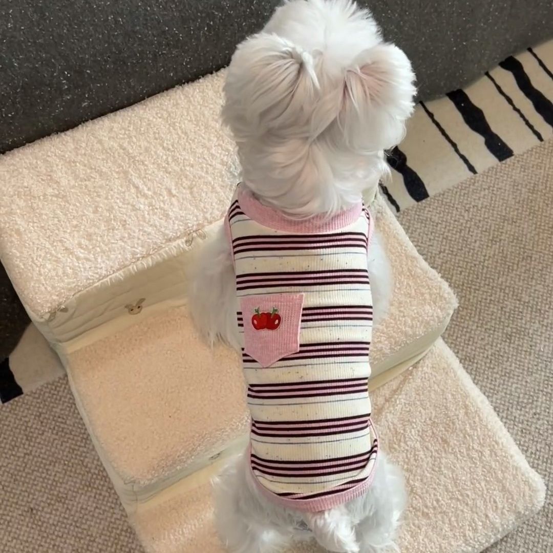 夏サロペット ストライプデザイン インスタ映え 犬服 犬 服 犬 服 犬服 犬の服 ペット用品 ハーネス 小型犬